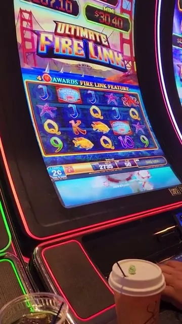 Fuego Casino casino — imagen 23